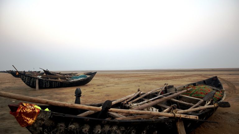 Odisha set to lose another nature’s paradise to port construction