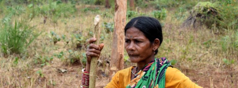 How teak forests are threatening livelihoods of Kutia Kondh tribe of Kandhamal
