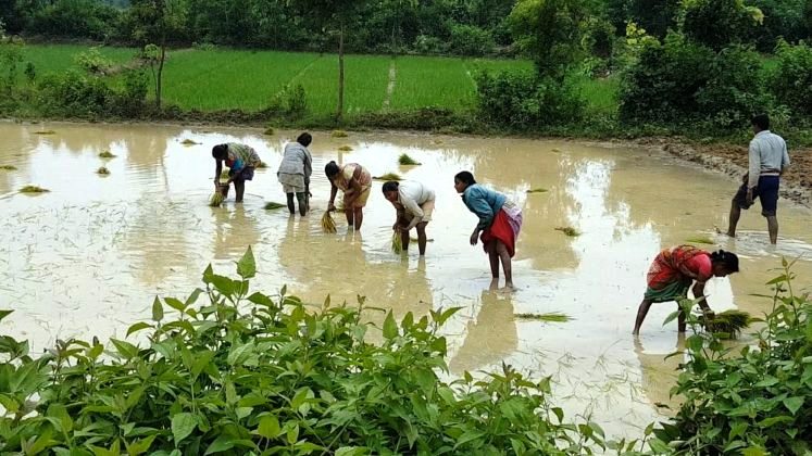 NABARD says rural spending in Odisha rising, farmers differ