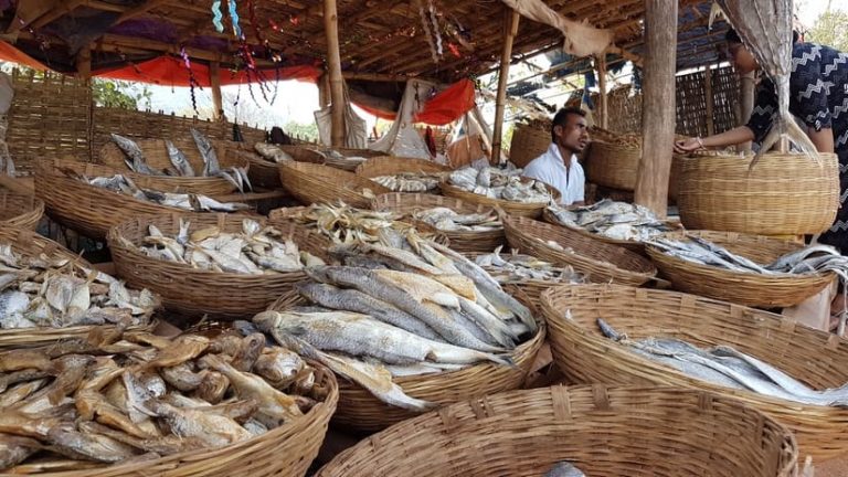 Oncologists claim Odisha’s popular dry fish (Sukhua) causing stomach cancer