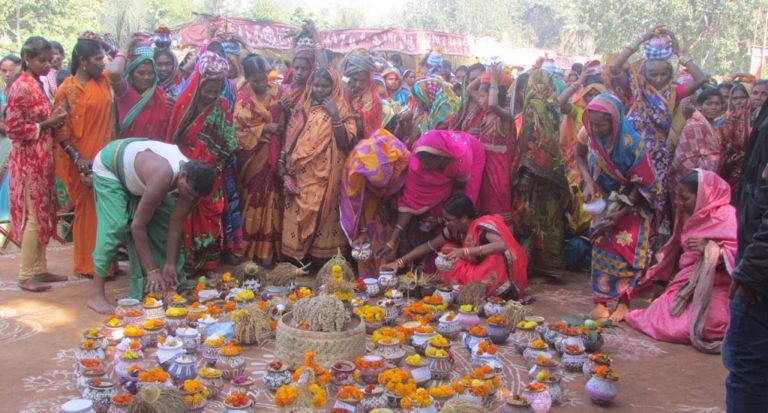 Women farmers in Odisha conserve seeds to revive soil health