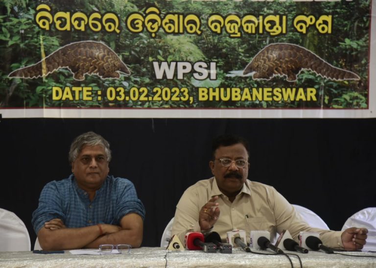 Odisha Pangolins in Peril : WPSI