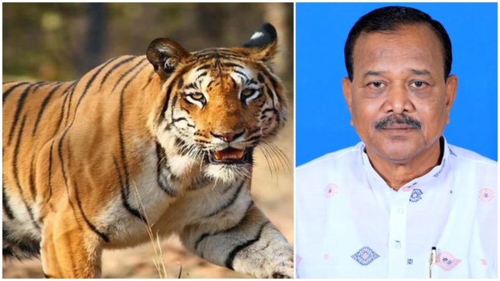 Record 43 deaths from tiger and leopard attacks in Uttarakhand this year -  News On Radar India